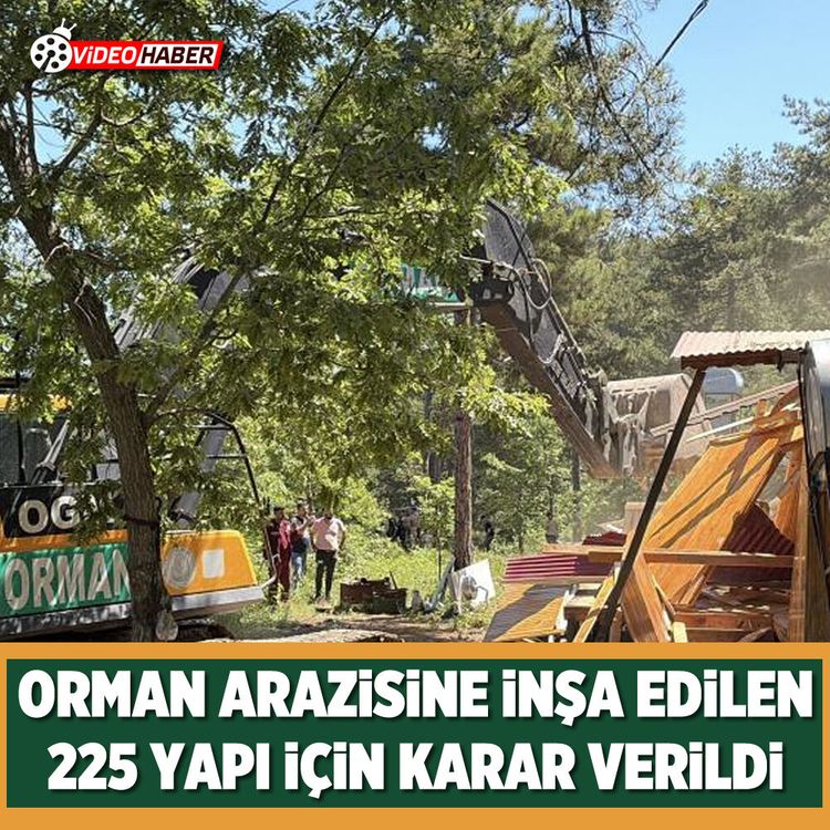 Orman arazisine inşa edilen 225 yapı için karar verildi