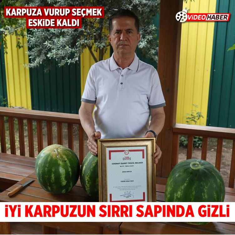 Karpuza vurup seçmek eskide kaldı: İyi karpuzun sırrı sapında gizli