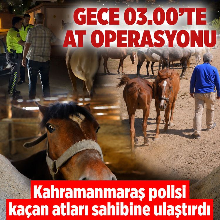 Kahramanmaraş’ta çiftlikten kaçan atlar polis ekiplerince bulundu