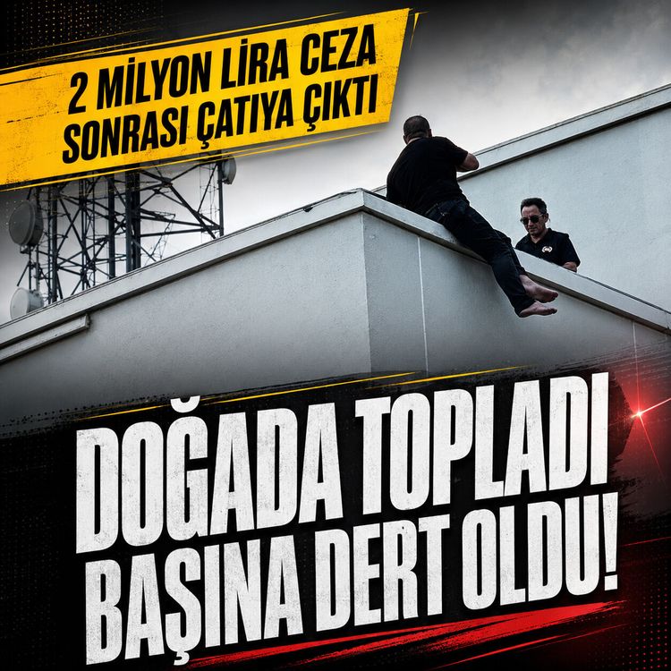 Bolu'da doğada topladı, başına iş aştı! 2 milyon TL ceza sonrası çatıya çıktı