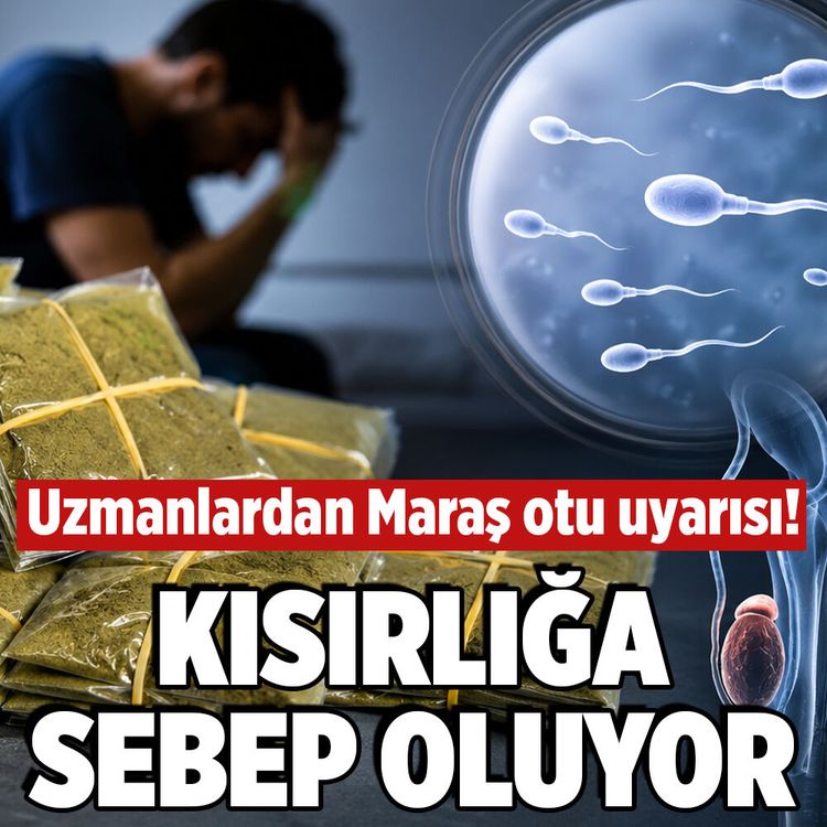 Uzmanlardan Maraş otu uyarısı! Kısırlığa sebep oluyor