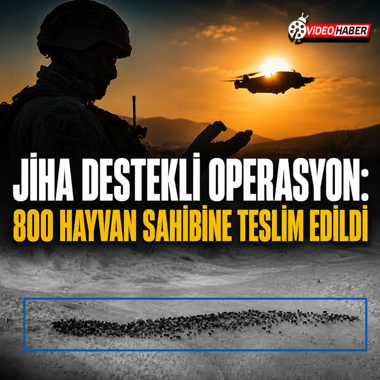 JİHA destekli operasyon: 800 hayvan sahibine teslim edildi
