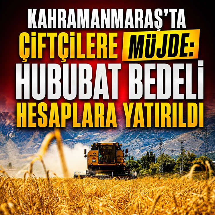 Kahramanmaraş'ta çiftçilere müjde: Hububat bedeli hesaplar yatırıldı