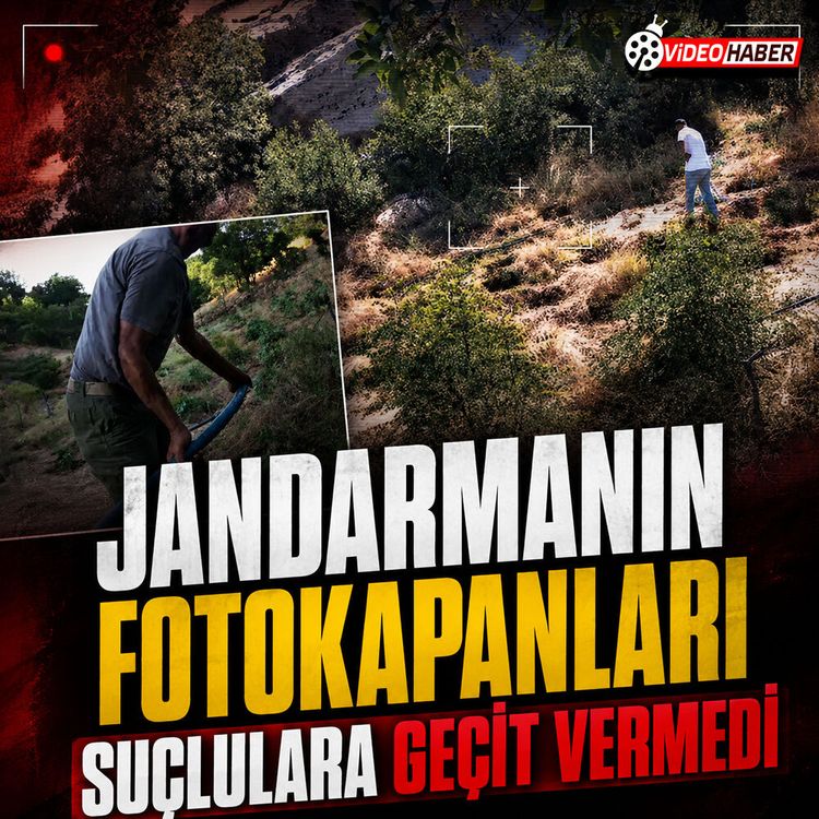 Jandarmanın fotokapanları suçlulara geçit vermedi