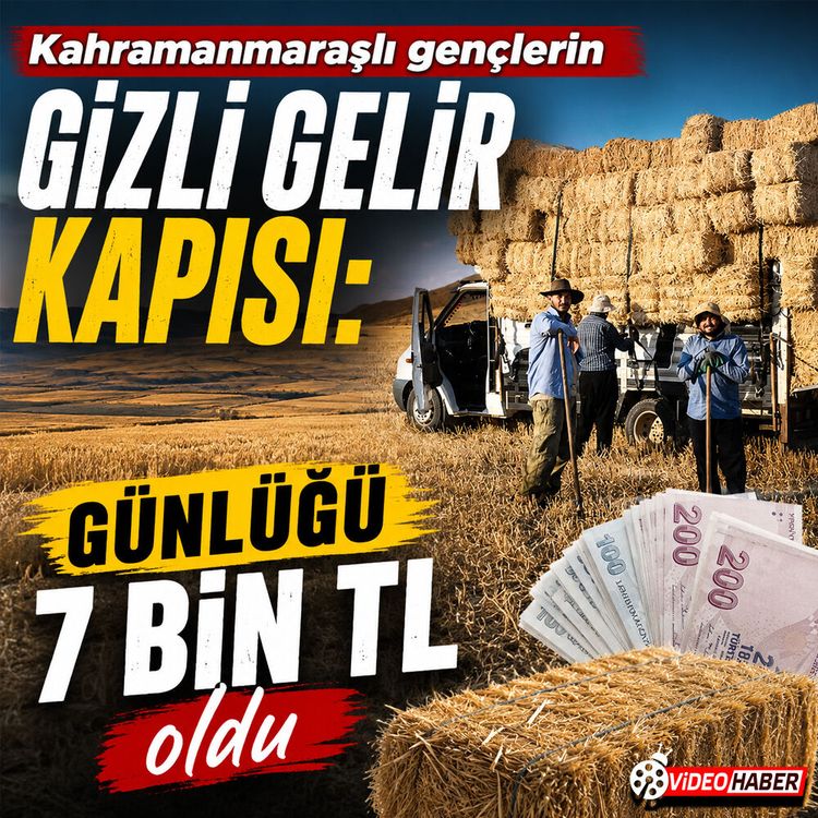 Kahramanmaraşlı gençlerin gizli gelir kapısı: Günlüğü 7 bin TL oldu