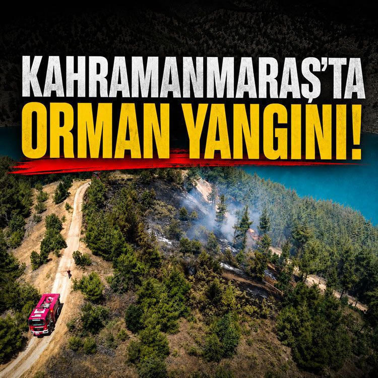 Kahramanmaraş Bulutoğlu'nda orman yangını!