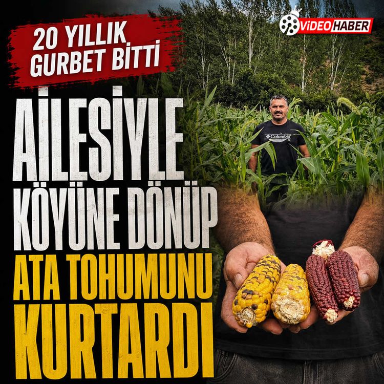 20 yıllık gurbet bitti: Ailesiyle köyüne dönüp ata tohumunu kurtardı