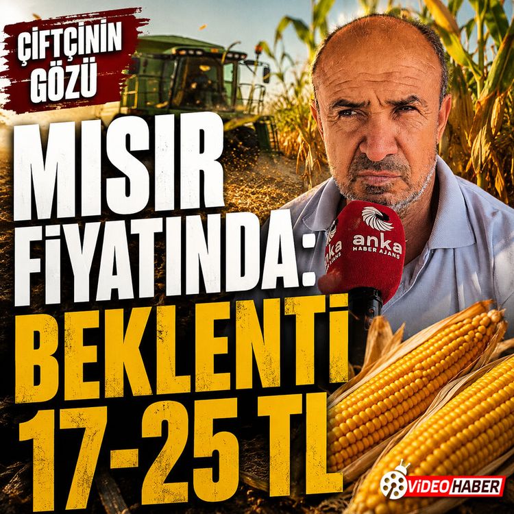 Çiftçinin gözü mısır fiyatında: Beklenti 17-25 TL