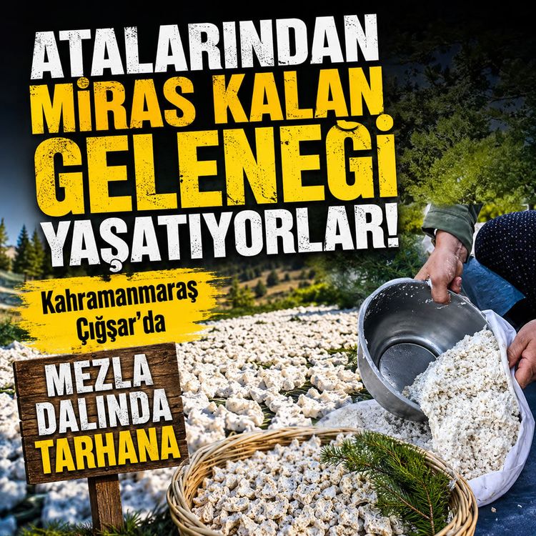 Kahramanmaraş Andırın'da yüzyıllık gelenek başladı: Mezla dalında tarhana