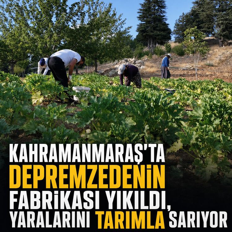 Kahramanmaraş’ta depremzedenin fabrikası yıkıldı, yaralarını tarımla sarıyor