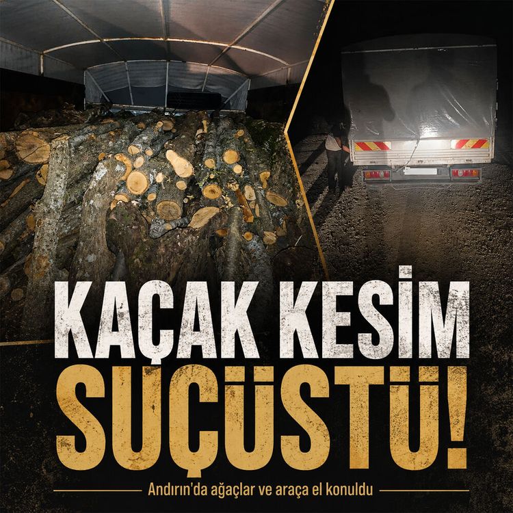 Kahramanmaraş'ta orman ekipleri affetmedi: Kaçak kesim yapanlar yakalandı