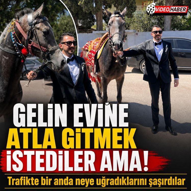 Reyhanlı'da sıra dışı düğün: At kontrolünü kaybedince plan değişti