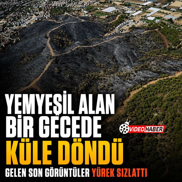 Yemyeşil alan bir gecede küle döndü: Gelen son görüntüler yürek sızlattı