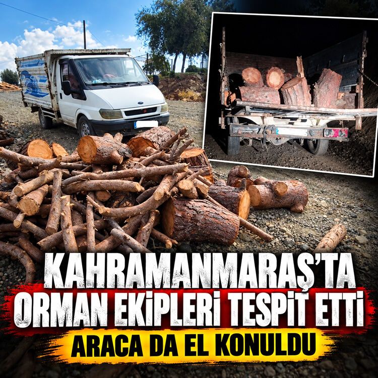 Kahramanmaraş'ta orman ekiplerinden kaçak kesime suçüstü: Araca el konuldu