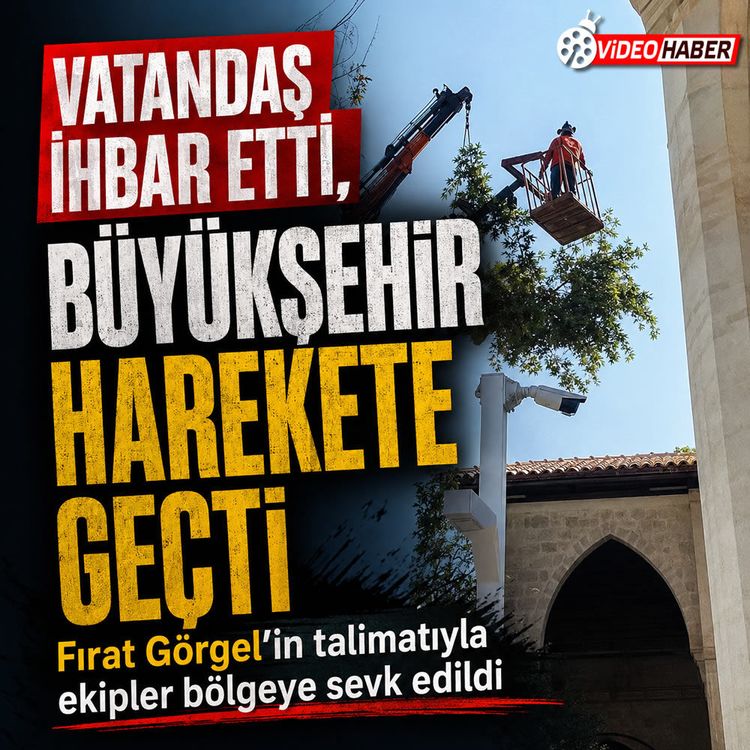 Bektutiye Camii’nde tehlikeli dal kontrollü şekilde budandı