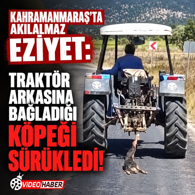 Kahramanmaraş'ta akılalmaz eziyet: Traktör arkasına bağladığı köpeği sürükledi!