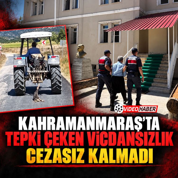 Kahramanmaraş’ta tepki çeken vicdansızlık cezasız kalmadı