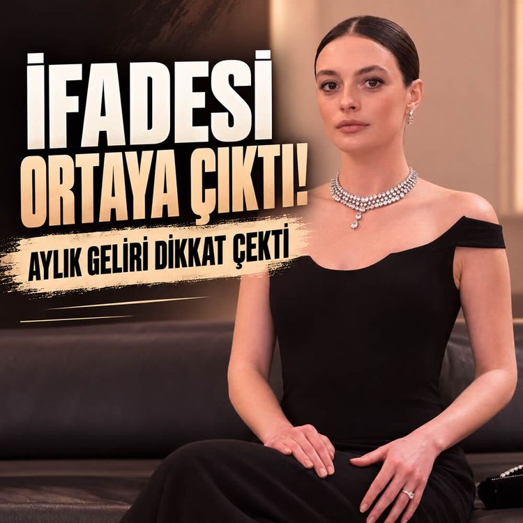 Melis Sezen’in emniyet ifadesi ortaya çıktı