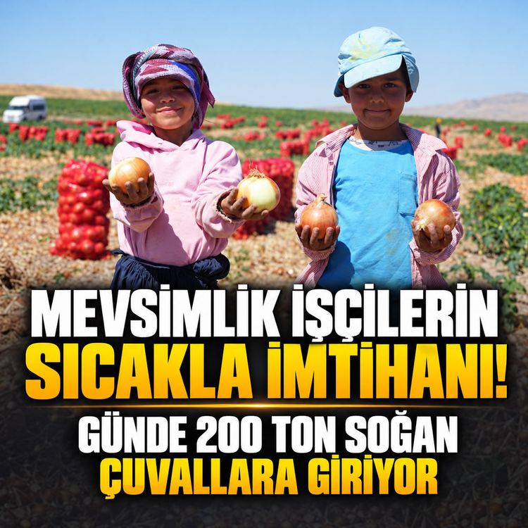 Mevsimlik işçilerin sıcakla ımtihanı: Günde 200 ton soğan çuvallara giriyor