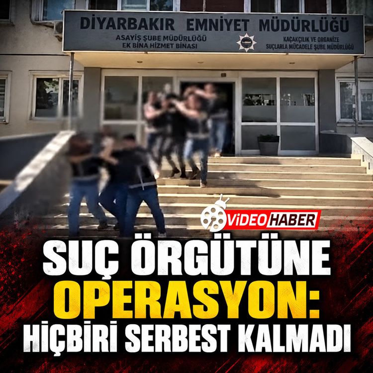 Suç örgütüne operasyon: Hiçbiri serbest kalmadı