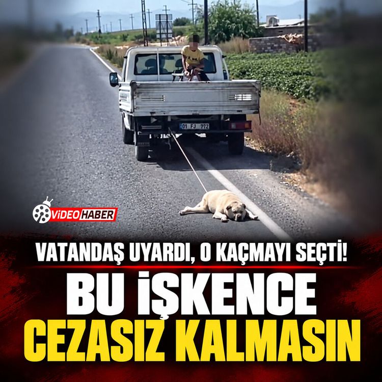 Vatandaş uyardı, o kaçmayı seçti! Bu işkence cezasız kalmasın