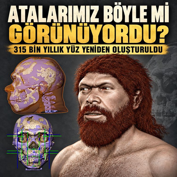 315 bin yıllık insanın yüzü yeniden oluşturuldu