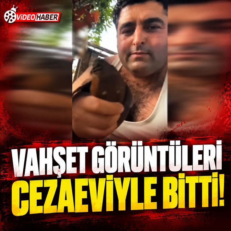 Alanya’da kuşlara eziyet eden şüpheli tutuklandı