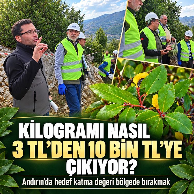 Kahramanmaraş’ın defnesinde büyük ekonomik potansiyel