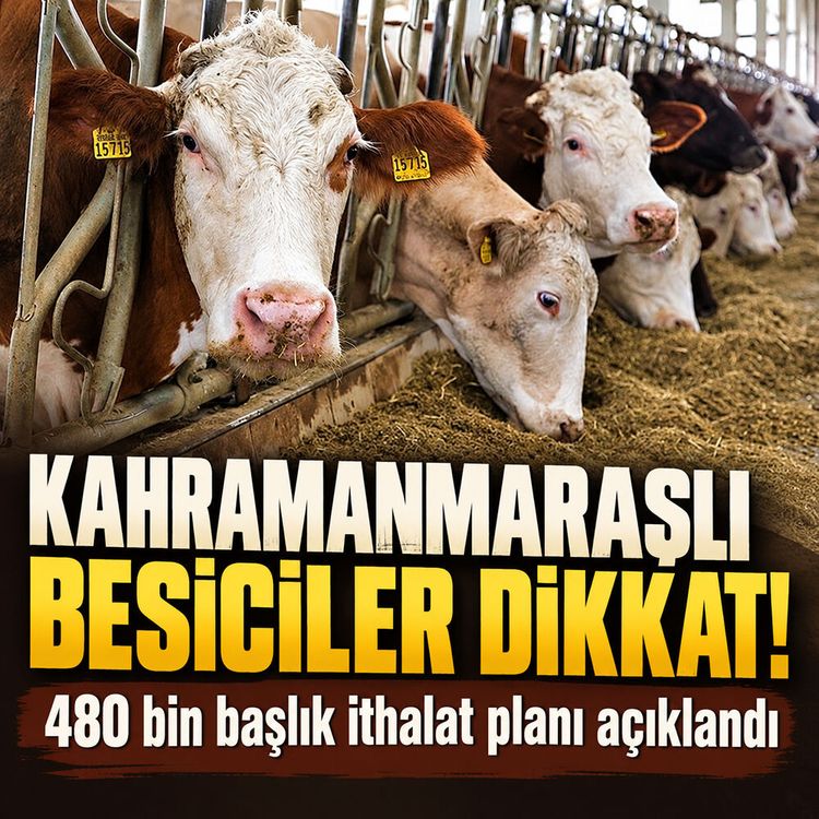 Kahramanmaraşlı besiciler dikkat: Son gün 16 Ekim