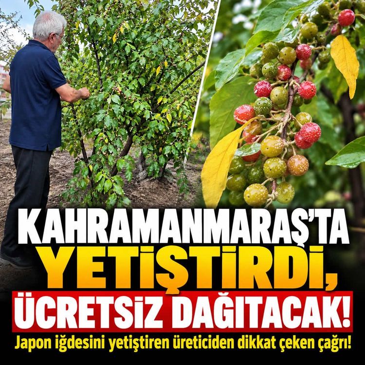 Kahramanmaraş'ta bu meyveyi yetiştirdi, herkesi davet etti
