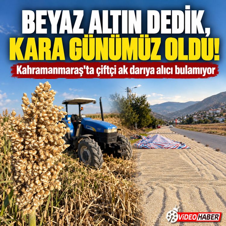 Kahramanmaraş'ta çiftçiler ak darıda alıcı bulamıyor