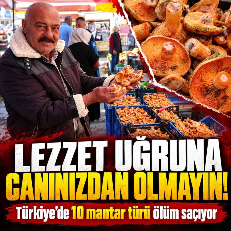 Lezzet uğruna canınızdan olmayın: Türkiye’de 10 mantar türü ölüm saçıyor