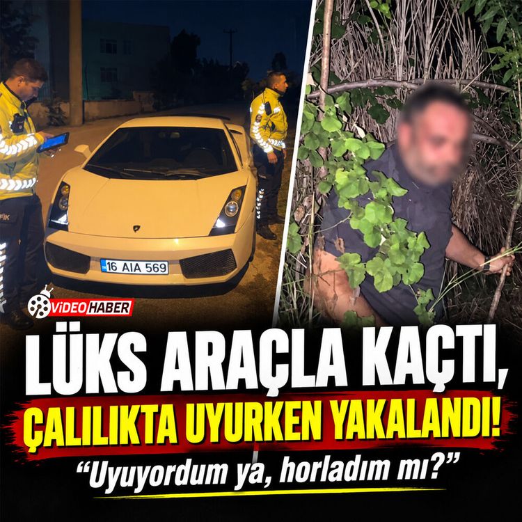 Lüks araçla kaçtı, çalılıkta uyurken yakalandı! "Uyuyordum ya, horladım mı?"
