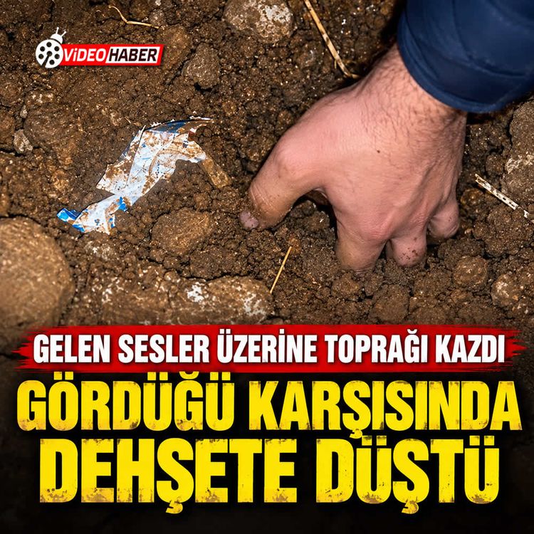 Topraktan gelen sesleri duydu, kazınca dehşete düştü