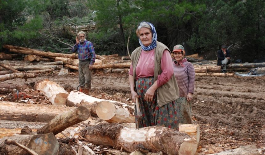 Günde 750 TL kazanmak ister misiniz: Onlar yapıyor siz de yapabilirsiniz ?