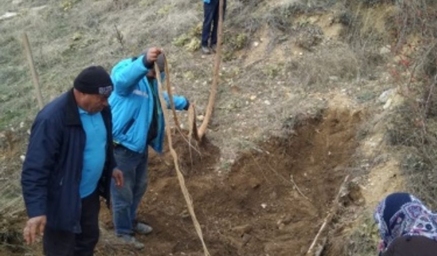 9 metre uzunluğunda! Çektikçe çıktı