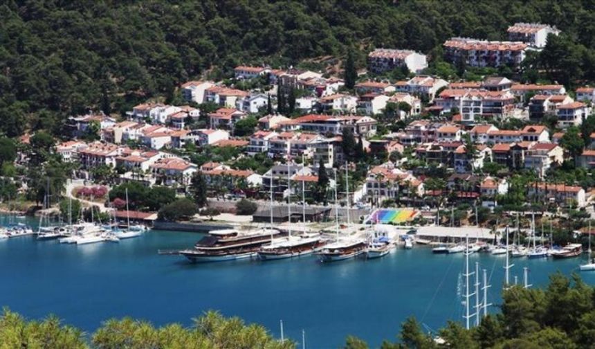 Şehir: Muğla
Ortalama Metrekare Satış Fiyatı (TL/m2): 7.771
Ortalama Fiyat (TL): 897.000
Geri Dönüş Süresi (Yıl): 31