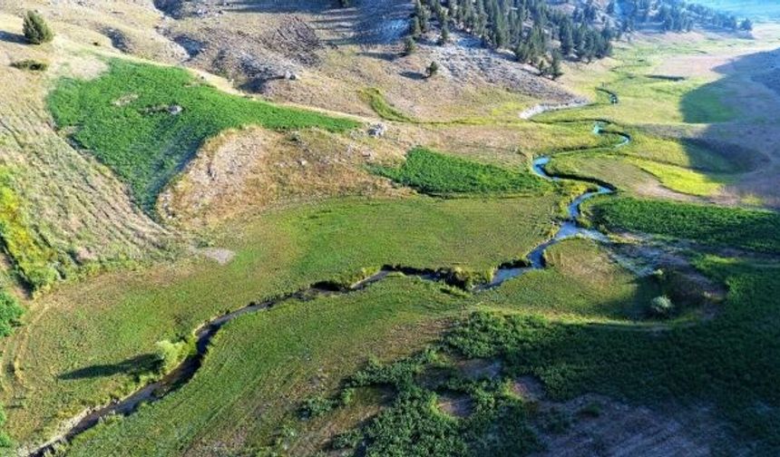 Burası Karadeniz yaylaları değil Kahramanmaraş!  Göz kamaştıran görüntüler