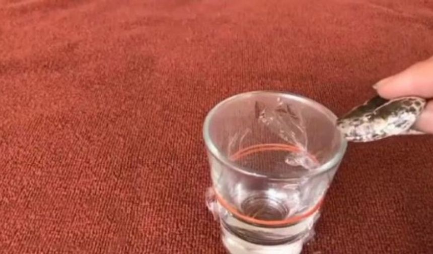 Yılanlar tarafından sokularak ölen birçok insanın, yılanın zehrinden öldüğünü hepimiz biliyoruz.