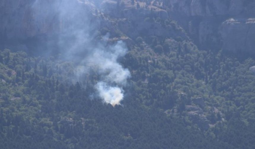 Adana'da orman yangını 