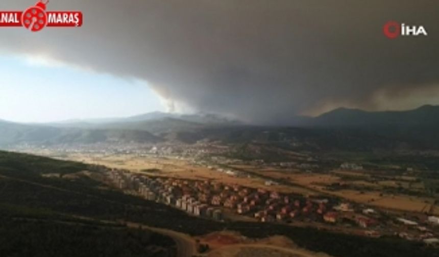 Yer: Muğla! Dumanlar gökyüzünü kapladı