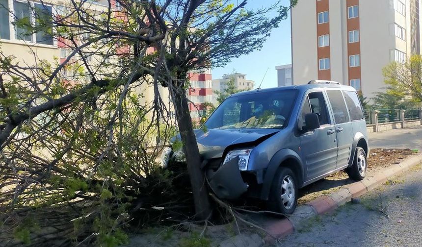 Kahramanmaraş'ta trafik kazası: Çarptığı ağacı yerinden söktü!