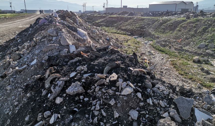 Kahramanmaraş'ta çöp krizi! Ortalık mikrop kaynıyor