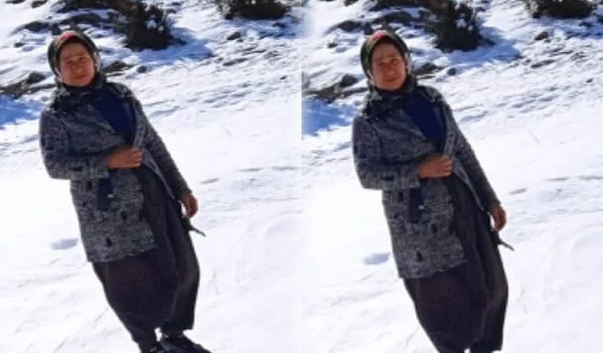 Kahramanmaraş'ta otomobilin çarptığı kadın hayatını kaybetti!