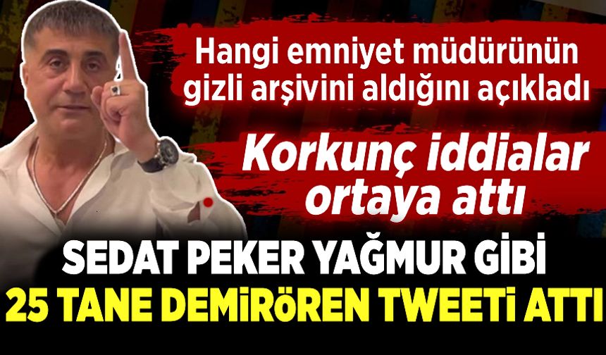 Sedat Peker'den Demirören tweetleri! Hangi emniyet müdürünün gizli arşivini aldığını açıkladı