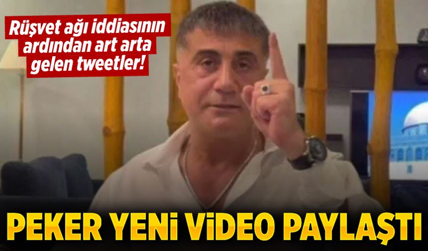 Sedat Peker rüşvet çarkını açıkladı! 50 tweet attı bir de AKP'li milletvekilinin videosu...