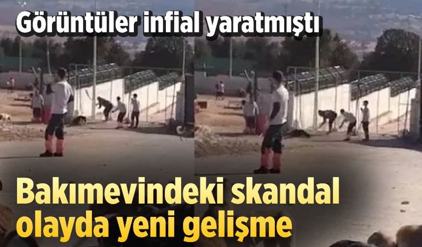 Konya'daki skandal görüntüler sonrası harekete geçildi: Köpeklerin sağlık durumu belirlenecek