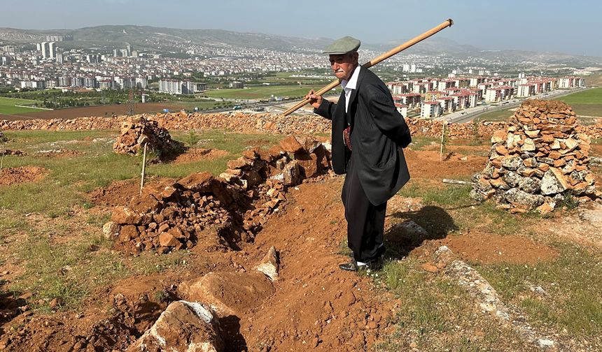 77'lik İsmail dede, 300 ton taş topladığı dağlık araziyi ağaçlarla kapladı