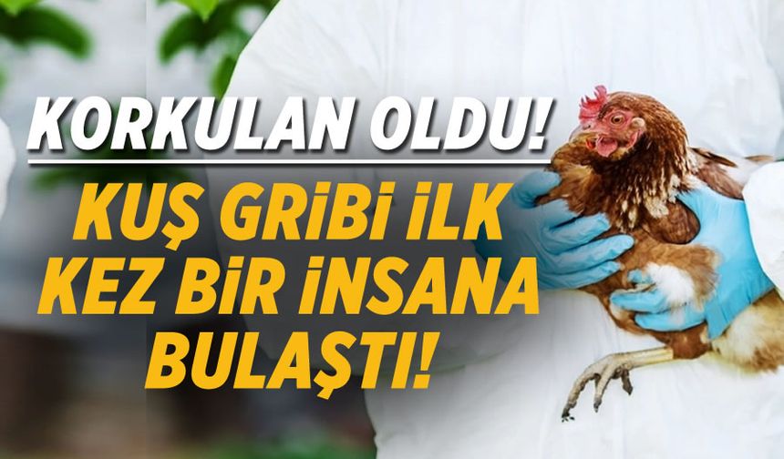 Kuş gribi (H5N1) virüsünün ilk kez bir insanı enfekte ettiği açıklandı