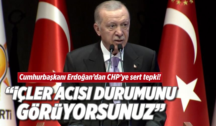 Cumhurbaşkanı Erdoğan: "CHP lideri Özel'in millete bir özür borcu olduğuna inanıyoruz"